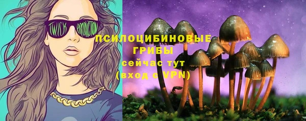 амф Алексеевка
