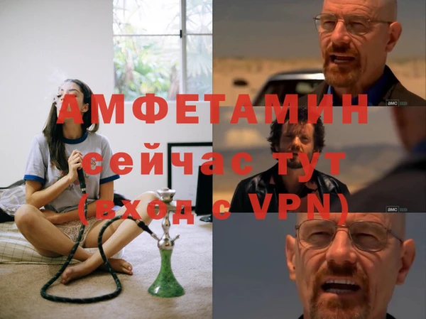 гидра Алексин
